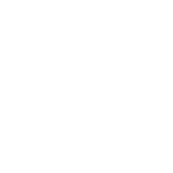 psi square logo - white